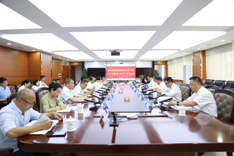 能投股份黨委開(kāi)展理論學(xué)習(xí)中心組2025年第6次（擴(kuò)大）學(xué)習(xí)強(qiáng)調(diào)聚焦改革發(fā)展難題全力沖刺年度目標(biāo)