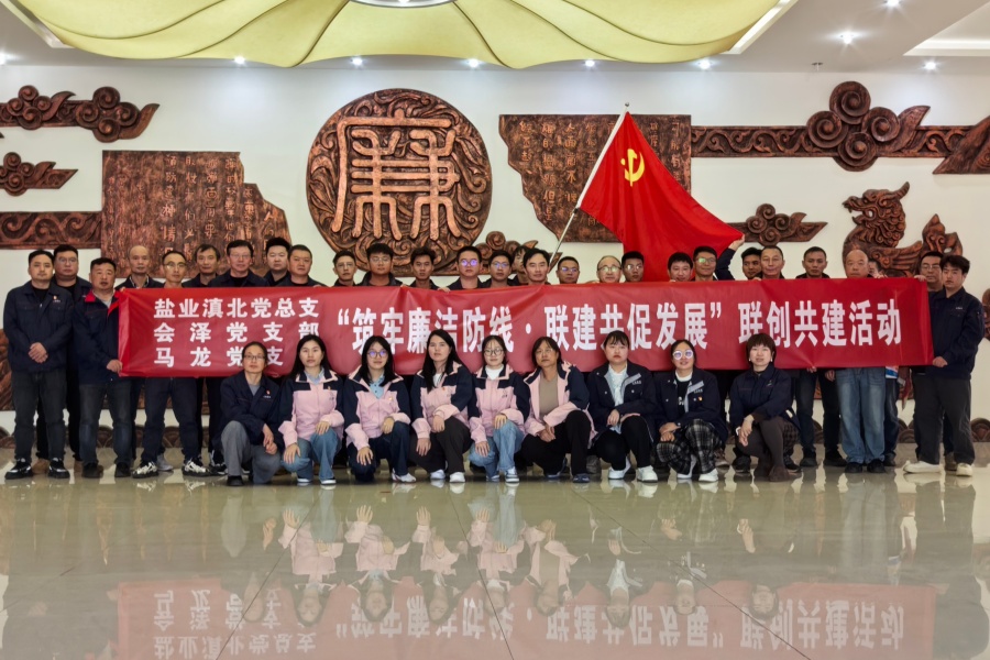 馬龍、會澤黨支部聯(lián)合滇北黨總支開展主題黨日活動