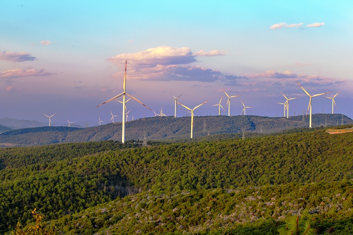 1685000740228450.jpg 2.jpg